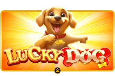 777net ဂိမ်းလော်ဘီ Slots Table Games ငါးပစ် ဂိမ်းအမျိုးမျိုး